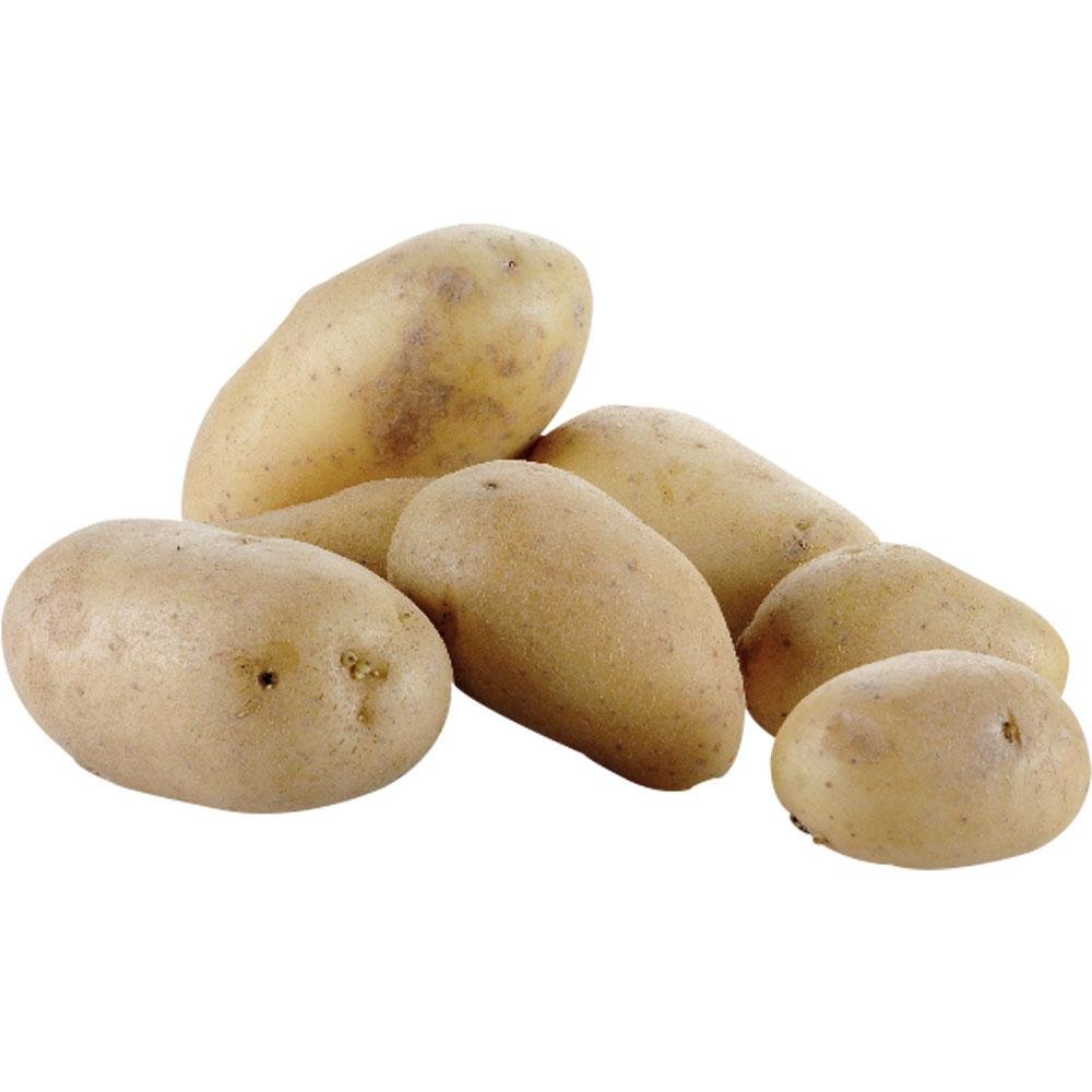 PPF-18 | Eplucheuse pommes de terre sur pied (18 kg)