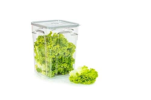 GNV-0010-000 | BOITE SOUS VIDE GASTRO 10 L SANS COUVERCLE