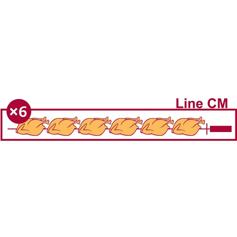 RVG/3-CM | Rôtissoire gaz 3 broches (18 poulets)