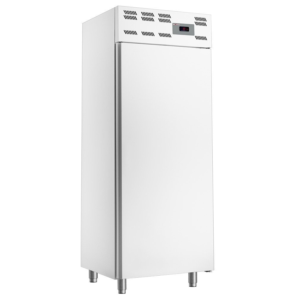 WR-50WS-N | Vrieskast , 20x EN 600x400, statisch, (500 Lit.) - Skinplate wit