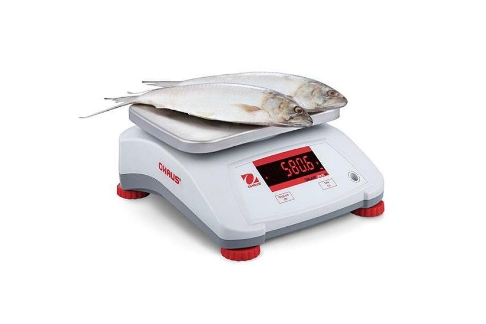 LBL-2003-000 | VALOR 2000 WEEGSCHAAL - MAX 3KG +/- 0,5G ABS UITVOERING, RVS PLATEAU 242X190MM